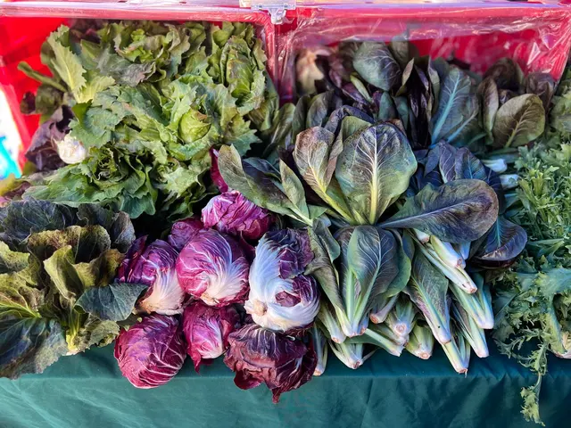 Fresh vegetables displayed at an outdoor farmers market